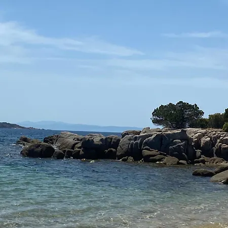 Cavallo Bianco Сотта